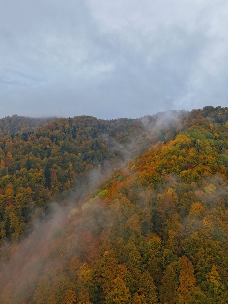 Magla i jesen u Kolašinu