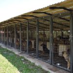 POTPISAN UGOVOR O DONACIJI ZA ADAPTACIJU AZILA ZA ŽIVOTINJE U OPŠTINI BERANE