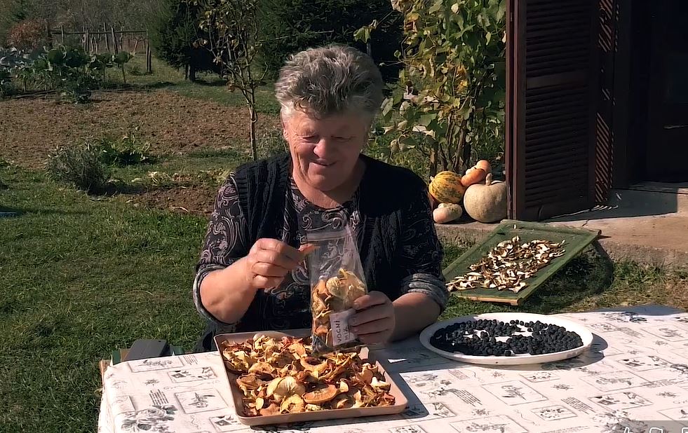 Branje ljekovitog bilja u Mojkovcu