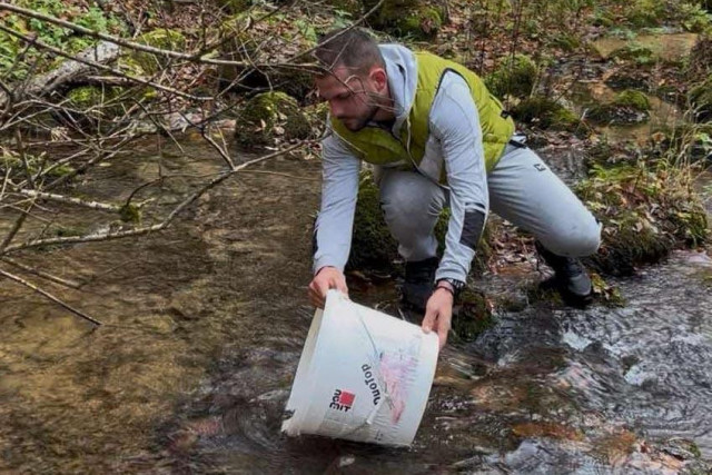 Potočna pastrmka ponovo u Bijelom Polju