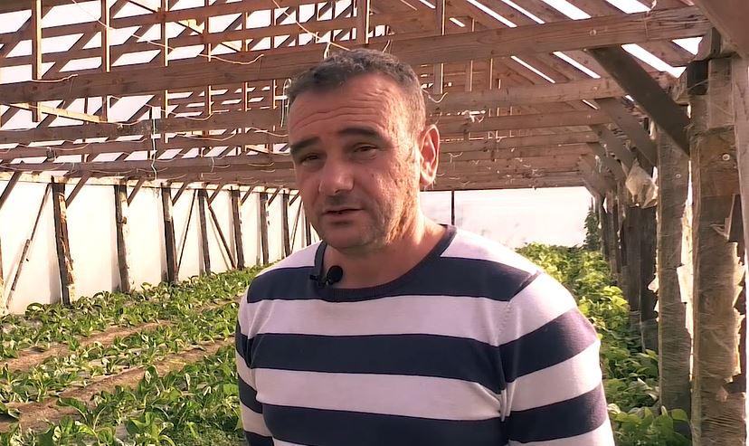 Domaći povrtlarski proizvodi