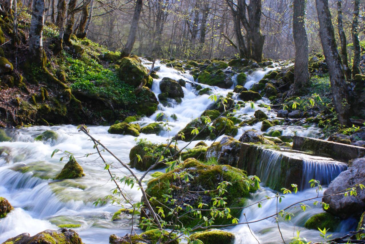 Ravnjak oaza na području Mojkovca