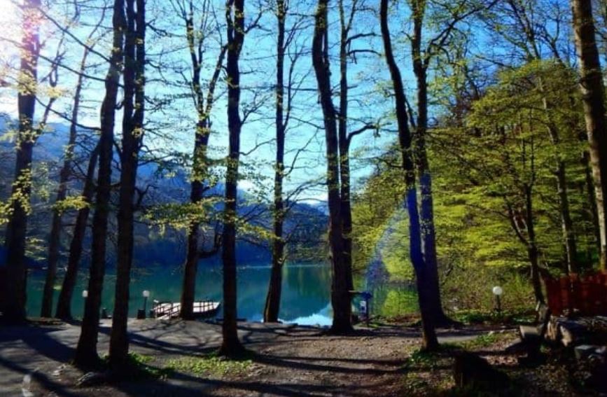 Sjever.me, Sjever, Biogradska gora, Unsco