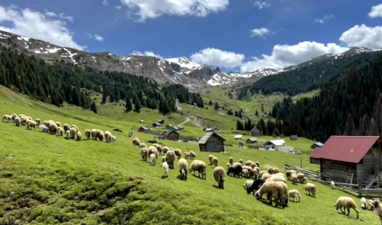 sjever-me-Plavski-katuni