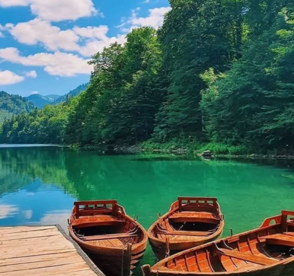 sjever-me-biogradska-gora