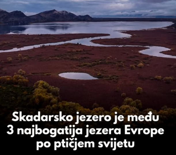 sjever-me-skadarsko-jezero