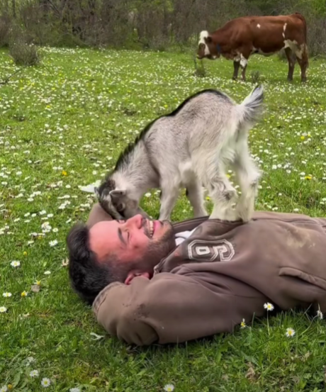 sjever-me-život-u-prirodi