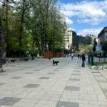 BIJELO POLJE, BERANE I PETNJICA DOBITNICI EVROPSKE DIPLOME ZA 2026. GODINU