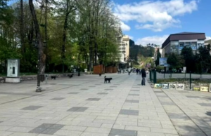 BIJELO POLJE, BERANE I PETNJICA DOBITNICI EVROPSKE DIPLOME ZA 2026. GODINU