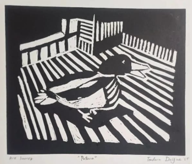 sjever-me-cdpr-doniralo-crteže-za-bolnicu