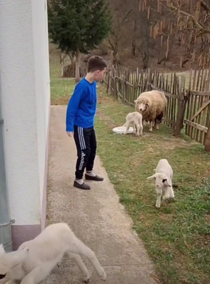 DJEČAK IZ BISTRICE KOJI ODRASTA UZ RAD I LJUBAV PREMA ŽIVOTINJAMA