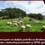 OTVOREN JAVNI POZIV ZA PODRŠKU STOČARIMA U 2026: DO 100€ PO GRLU, PRIJAVE DO 21. AVGUSTA
