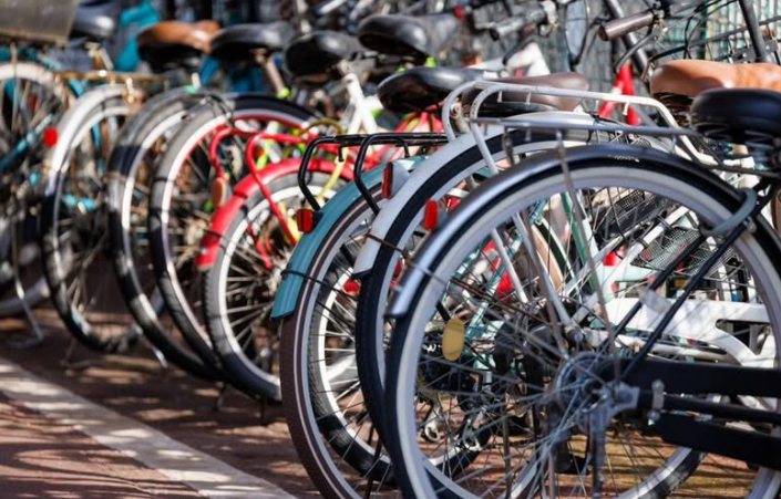 sjever-me-opština-pljevlja