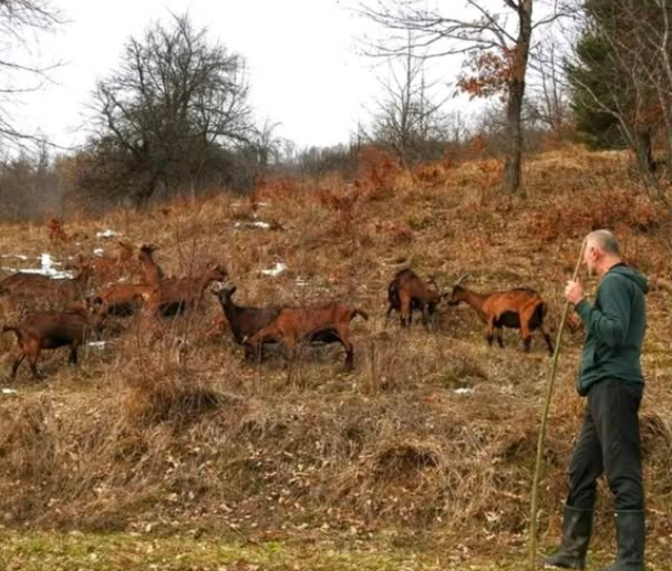 sjever-me-selo-vujičić