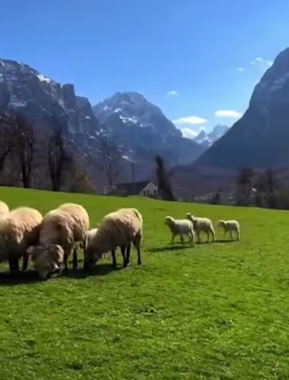 NEMA FILTERA ZA OVU LJEPOTU SAMO PRIRODA, MIR I ŽIVOT KAKAV TREBA DA BUDE
